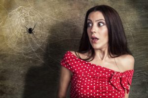 How To Keep Spiders Out Of Your Home