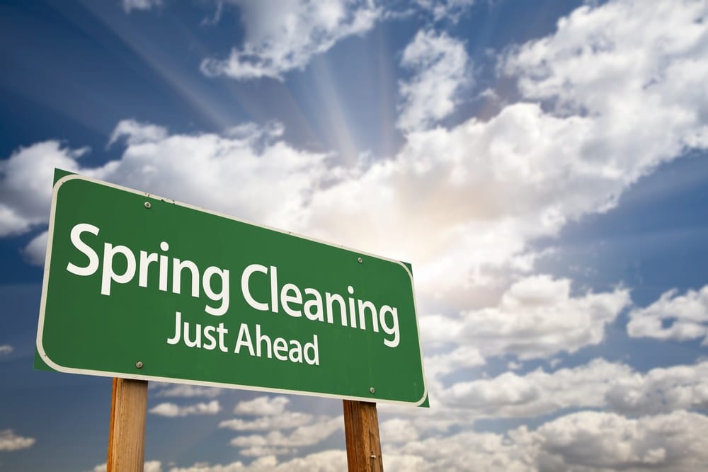 Spring Cleaning And Pests