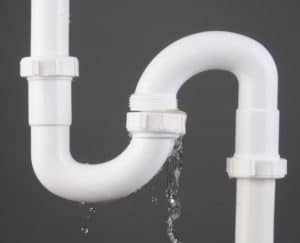 How Poor Plumbing Leads to Pests