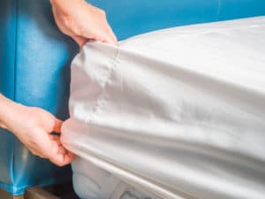 Early Detection of Bed Bugs Is Key
