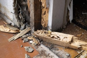 Is Your Home Safe from Termites