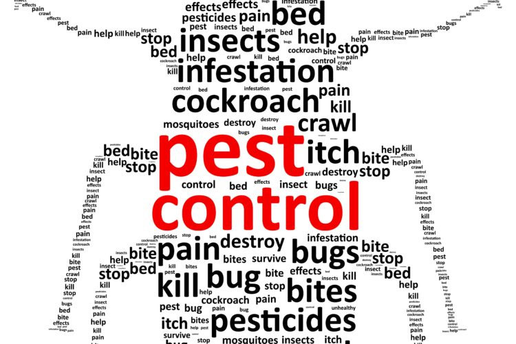 2-Reasons-You-Need-Professional-Pest-Control
