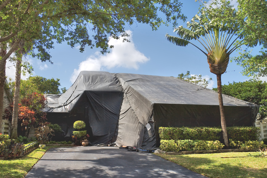 Exterior of home covered