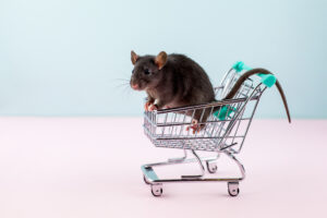 image of mouse inside a cart