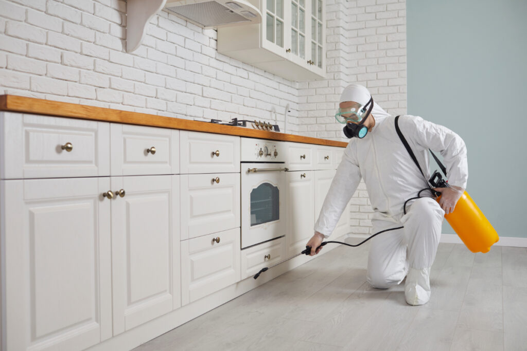 Pest Control in San Diego: Your Guide to a Pest-Free Home 1 shutterstock 2133095817