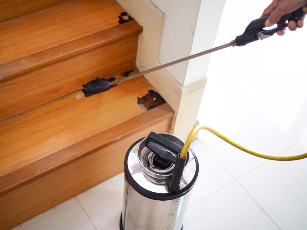 Pest control treatment on wooden stairs.