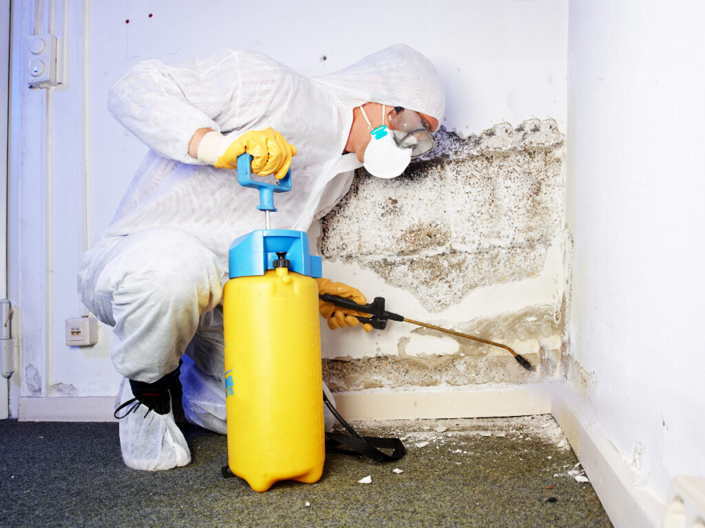 Person spraying mold on a wall.