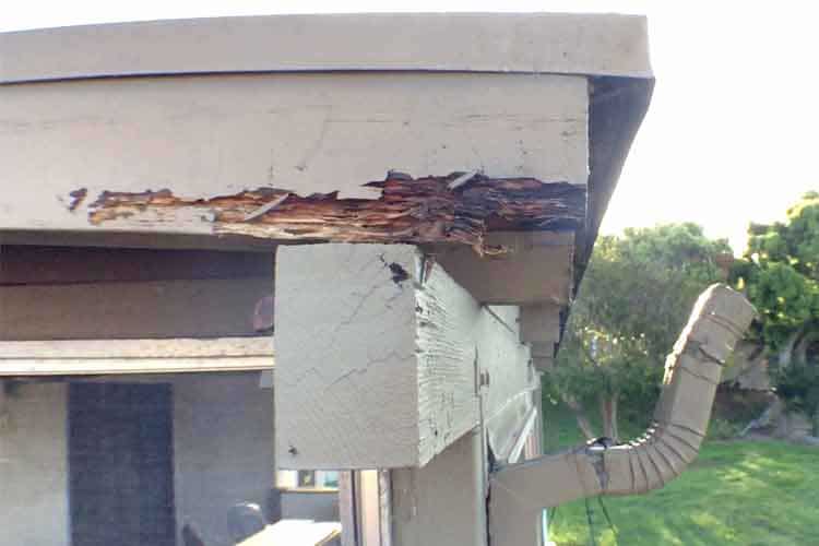 Carmel Valley Termite Treatment Company