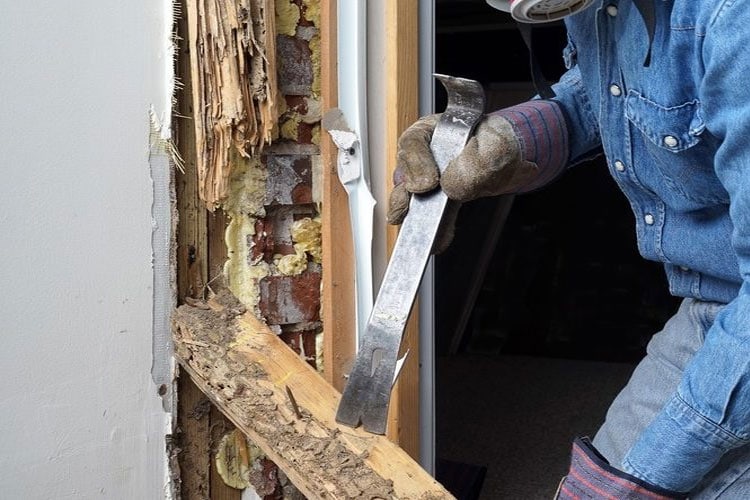 Termite Damage Repair Company
